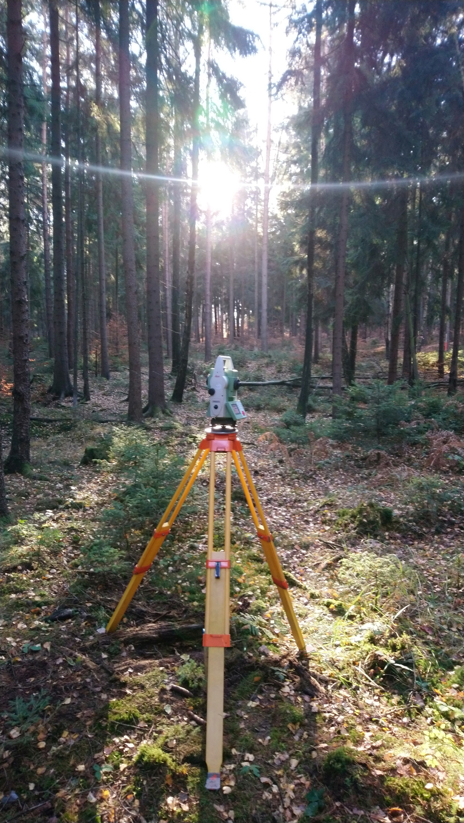 Leica TS 15 im Wald
